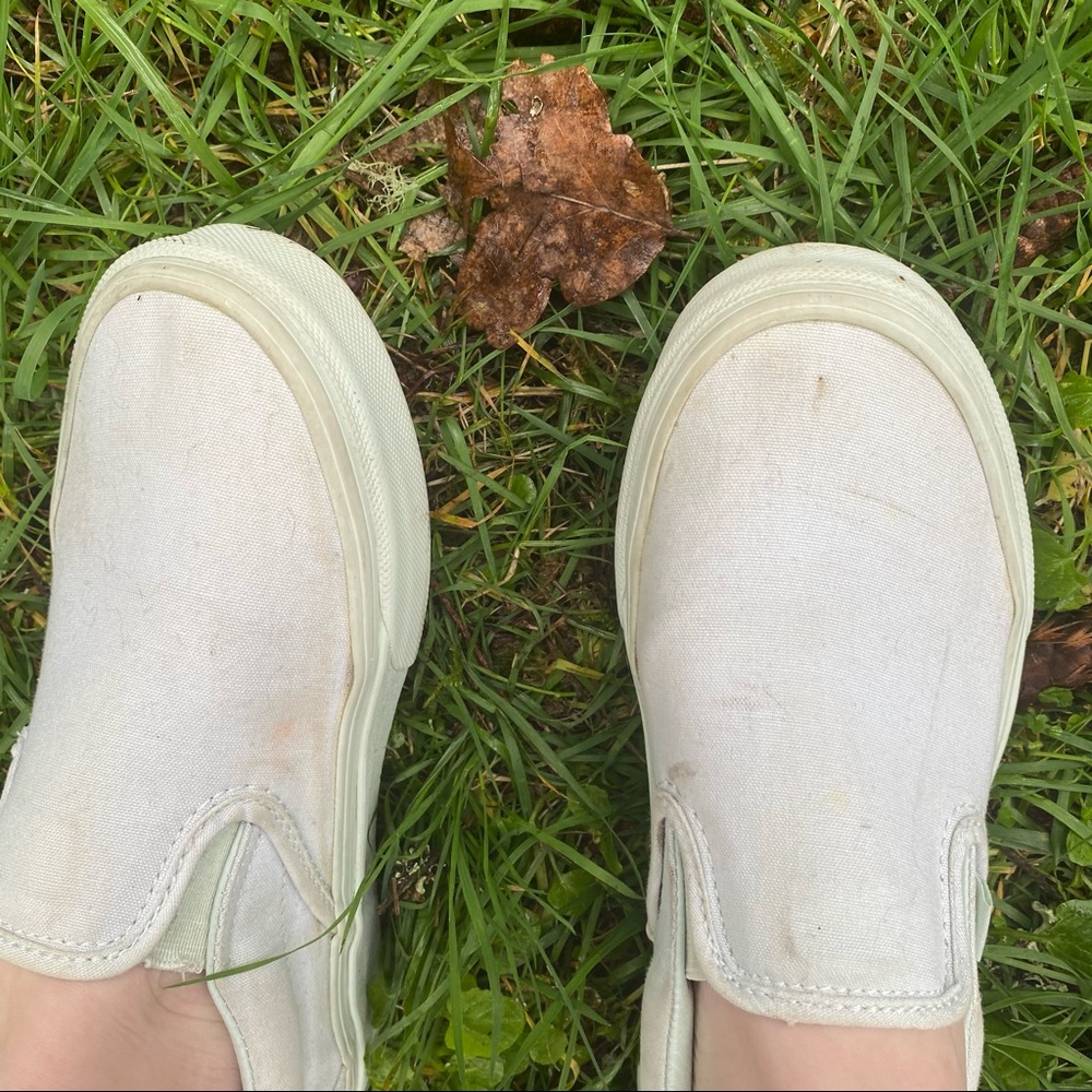 Mint vans - Picture 6 of 6